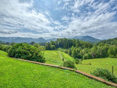 690 Lost Cove Rd, Clyde, NC 28721 photo 6