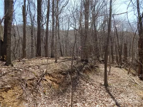 00 Gentry Farm Rd, Spring Creek, NC 28743