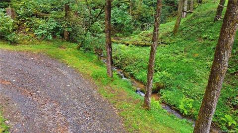 127 Claude Cook Rd, Sylva, NC 28779 photo 8