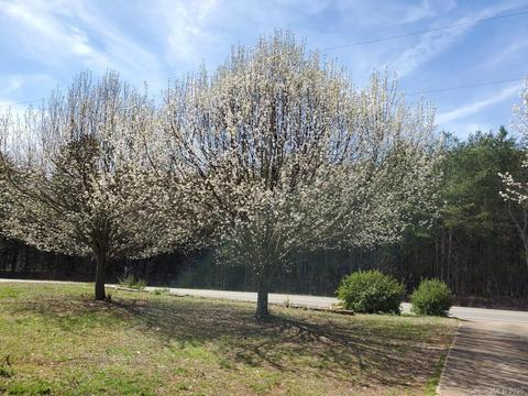 614 Harvey Logan Rd, Bostic, NC 28018 photo 27