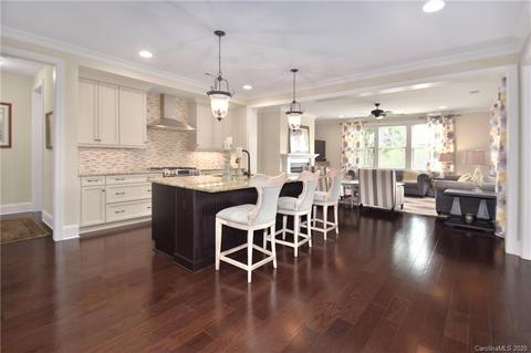 18104 John Robbins Ln, Cornelius, NC 28031 photo 3