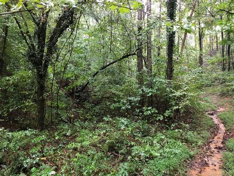 Green River Cove Road, Saluda, NC 28773