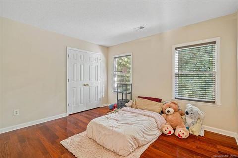 19204 Spring Lily Ct, Cornelius, NC 28031 photo 29