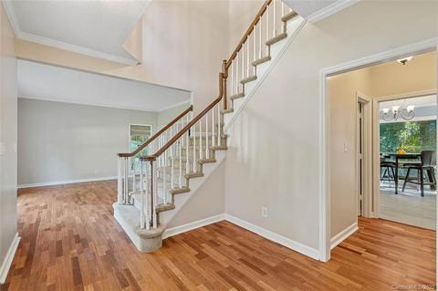 19204 Spring Lily Ct, Cornelius, NC 28031 photo 7