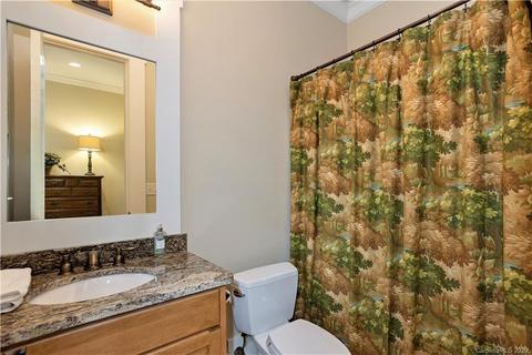 352 Chestertown Dr, Mill Spring, NC 28756 photo 29