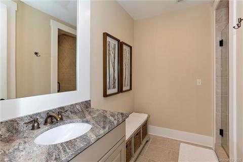352 Chestertown Dr, Mill Spring, NC 28756 photo 33