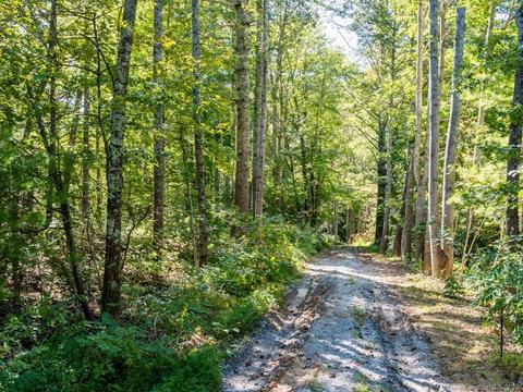 83 Harris Rd, Fairview, NC 28730 photo 32