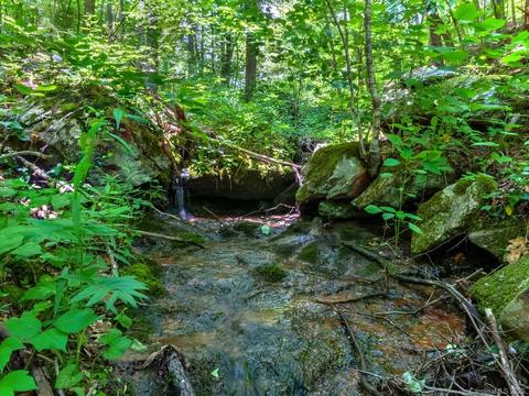 700 Iris Crest Rd, Marshall, NC 28753 photo 4