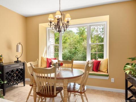 72 Deer Run, Brevard, NC 28712 photo 13