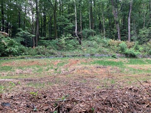2940 Hogback Mountain Rd, Tryon, NC 28782 photo 9