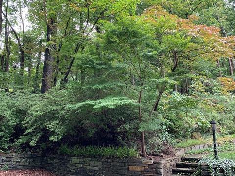 2940 Hogback Mountain Rd, Tryon, NC 28782 photo 8