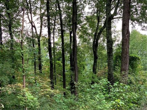 2940 Hogback Mountain Rd, Tryon, NC 28782 photo 5