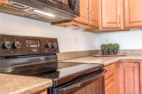 919 Platinum Dr, Fort Mill, SC 29708 photo 12