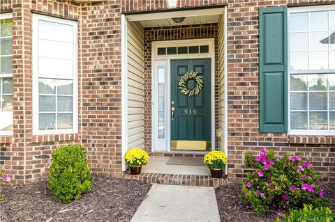 919 Platinum Dr, Fort Mill, SC 29708 photo 3