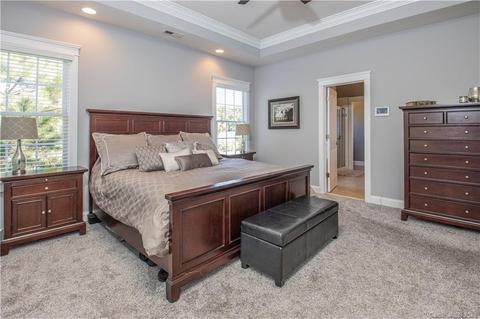 414 Esther Ct, Fort Mill, SC 29708 photo 28