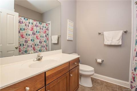 414 Esther Ct, Fort Mill, SC 29708 photo 21