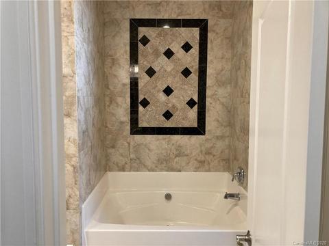 174 Harper Lee St, Davidson, NC 28036 photo 21
