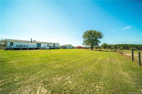 955 Pine Rd, Jefferson, SC 29718 photo 13