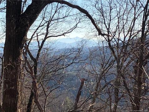 3600 Grapevine Rd, Marshall, NC 28753 photo 31