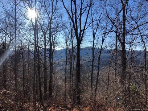 3600 Grapevine Rd, Marshall, NC 28753 photo 29