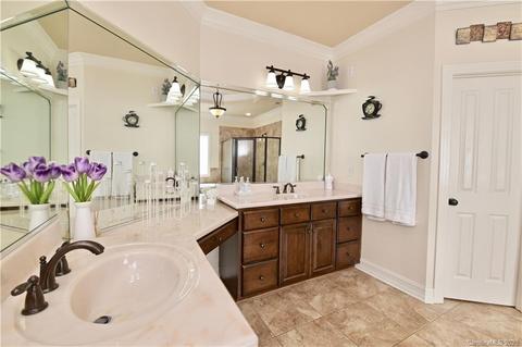 18541 Boulder Rock Loop, Davidson, NC 28036 photo 28