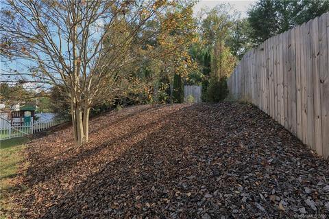 10829 Traders Ct, Davidson, NC 28036 photo 40