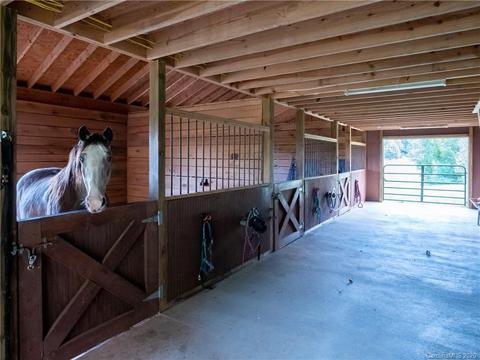 6115 Big Level Rd, Mill Spring, NC 28756 photo 35