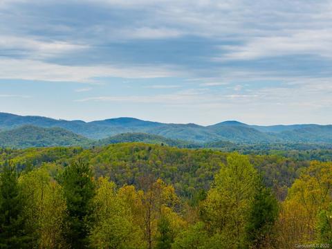 24 Bobcat Ln, Fairview, NC 28730 photo 3