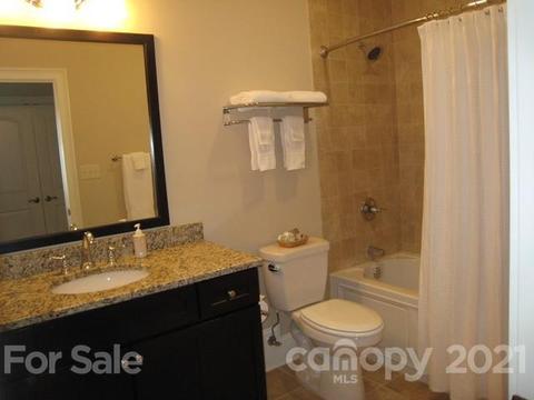 352 Windflower Ln, Mill Spring, NC 28756 photo 24