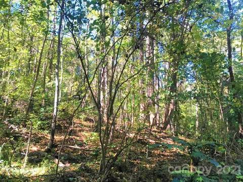 1154 Warrior Dr, Tryon, NC 28782 photo 33