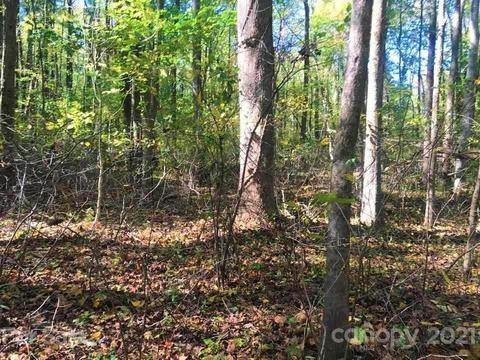 1154 Warrior Dr, Tryon, NC 28782 photo 34