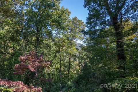 1154 Warrior Dr, Tryon, NC 28782 photo 32