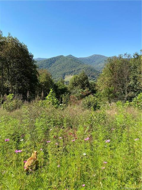 261 Harmony Trl, Canton, NC 28716 photo 38