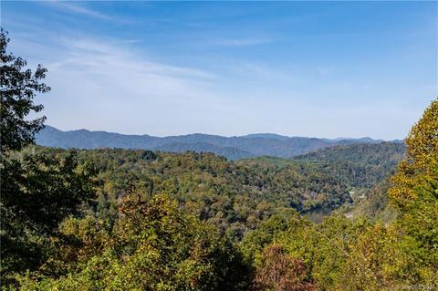 796 River Run, Marshall, NC 28753 photo 34