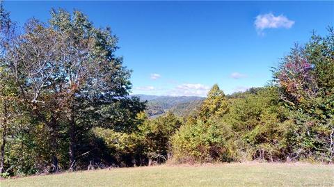 796 River Run, Marshall, NC 28753 photo 37