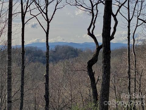 12 Cummings Cove Parkway #12, Hendersonville, NC 28739