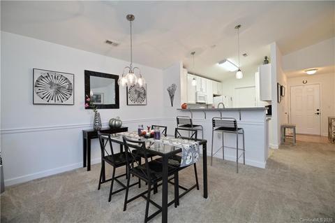 9153 Mcdowell Creek Ct, Cornelius, NC 28031 photo 16