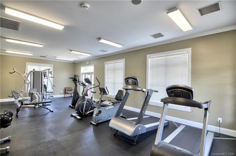 9153 Mcdowell Creek Ct, Cornelius, NC 28031 photo 41