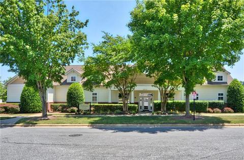 9153 Mcdowell Creek Ct, Cornelius, NC 28031 photo 35