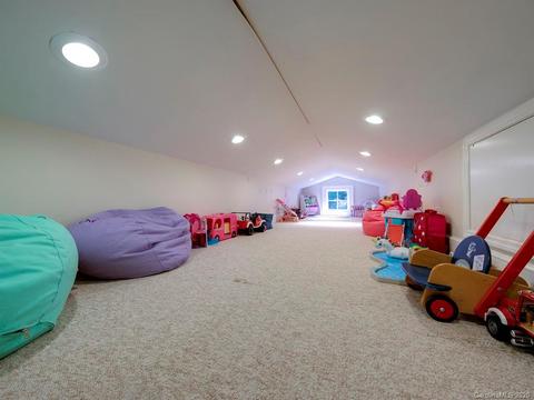 202 Delphia Dr, Brevard, NC 28712 photo 11