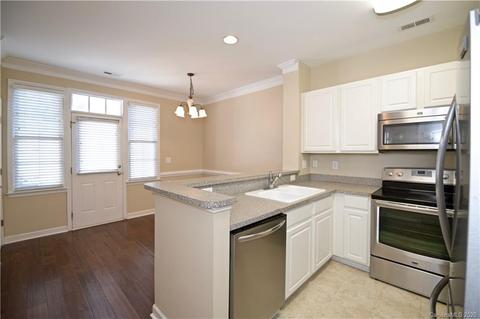 454 Davidson Gateway Dr, Davidson, NC 28036 photo 9