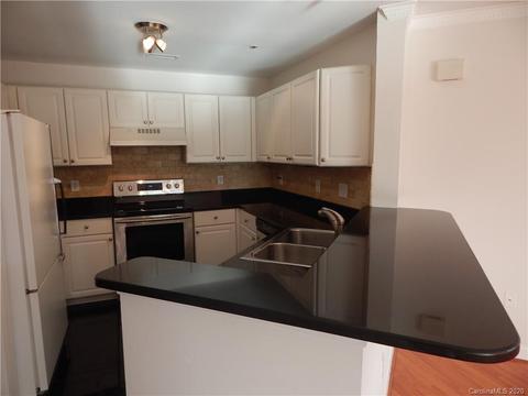 1117 Torrence Cir, Davidson, NC 28036 photo 9
