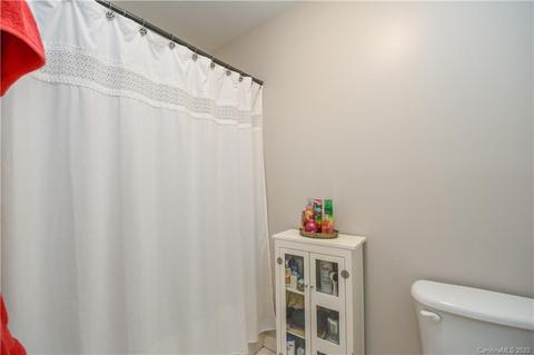17816 Delmas Dr, Cornelius, NC 28031 photo 25