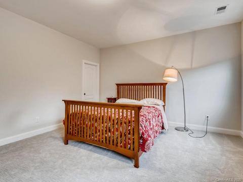 158 Riverstone Dr, Davidson, NC 28036 photo 34