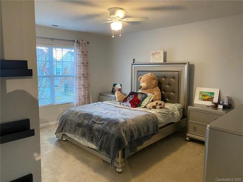 8227 Ruby Valley Rd, Charlotte, NC 28277 photo 17