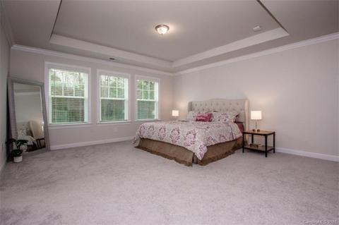 15520 Queens Trail Dr, Davidson, NC 28036 photo 30