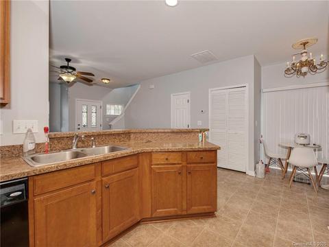 10641 Trolley Run Dr, Cornelius, NC 28031 photo 8