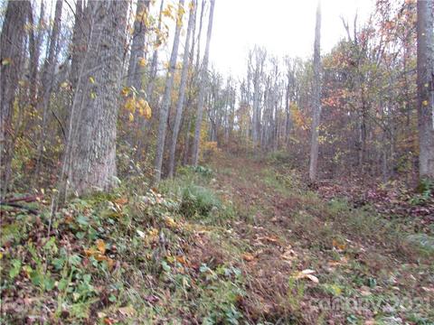 Red Wolf Run, Mars Hill, NC 28754