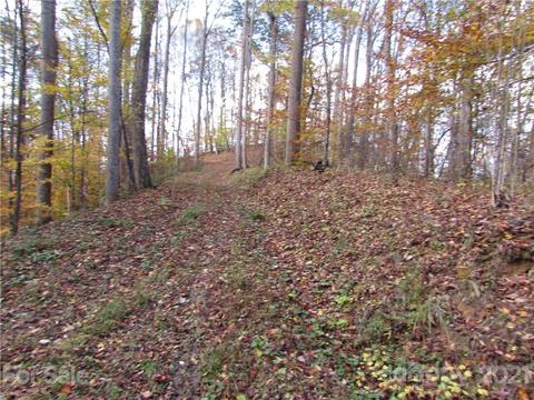 00 Red Wolf Run #39, Mars Hill, NC 28754