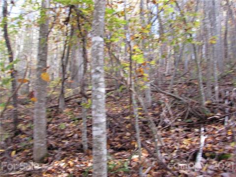 Red Wolf Run, Mars Hill, NC 28754